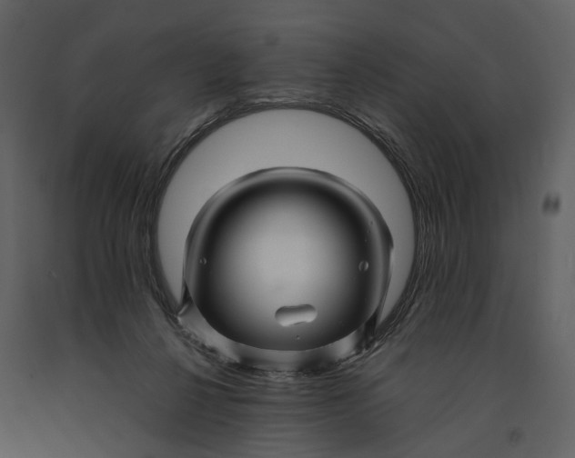 X0000090960264200708241159