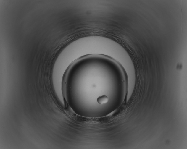 X0000090960266200708241159