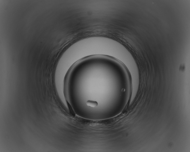 X0000090960268200708241159