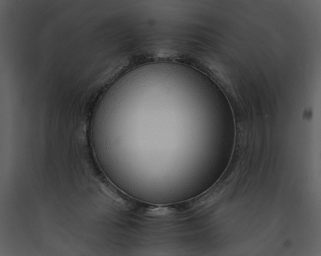 X0000090960269200708241159