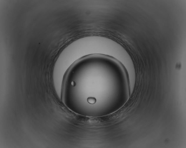 X0000090960270200708241159