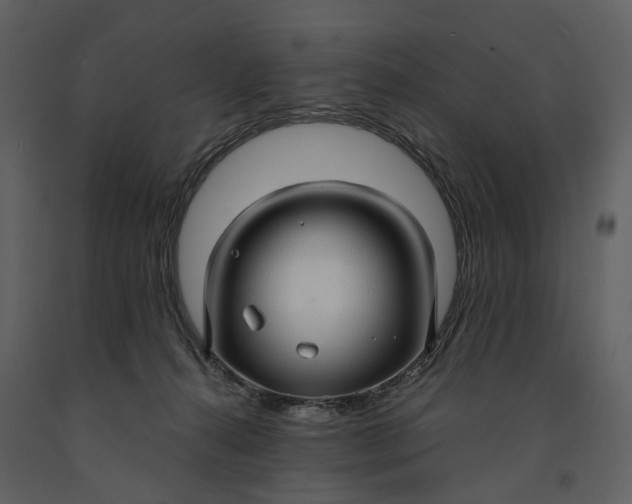 X0000090960272200708241159