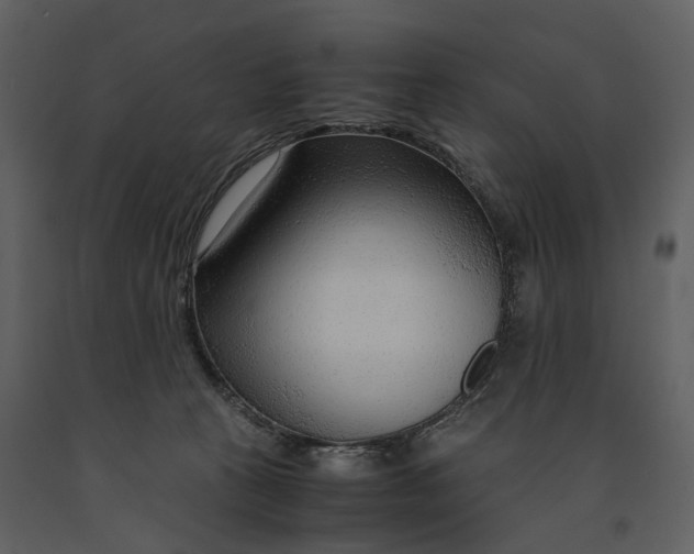 X0000090960273200708241159