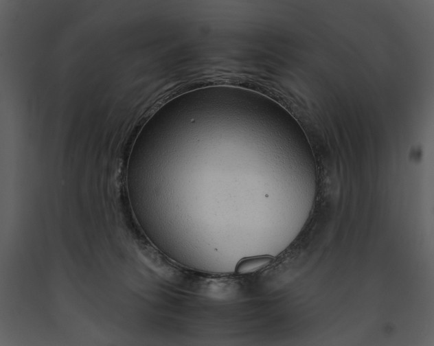 X0000090960275200708241159