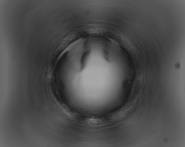 X0000090960277200708241159