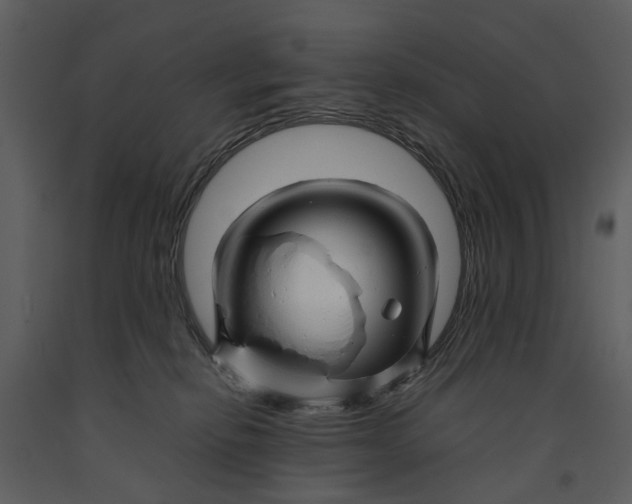 X0000090960278200708241159