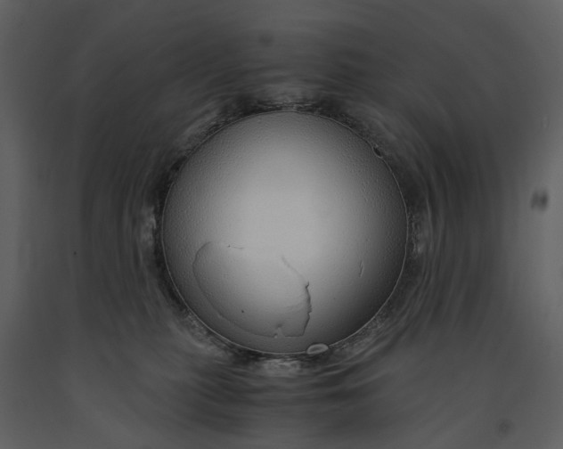 X0000090960279200708241159