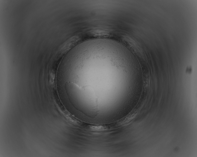 X0000090960281200708241159