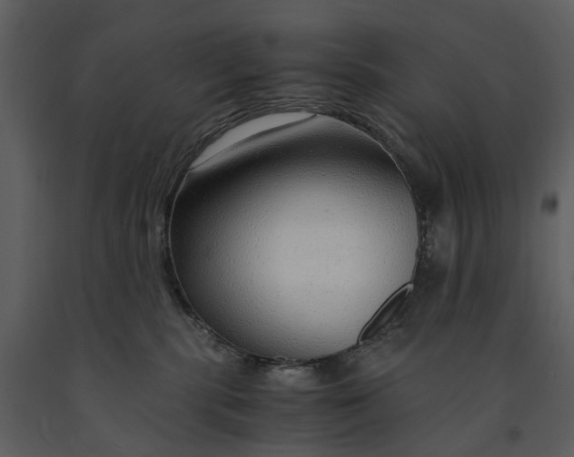 X0000090960283200708241159