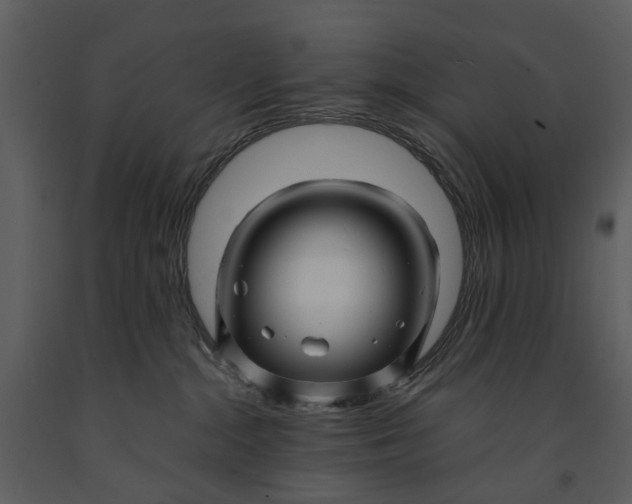 X0000090960284200708241200