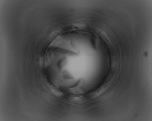 X0000090960285200708241200