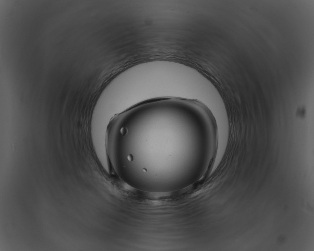 X0000090960286200708241200