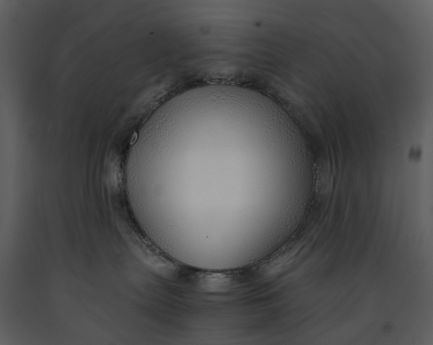 X0000090960287200708241200