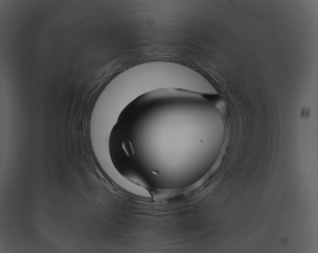 X0000090960288200708241200