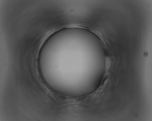 X0000090960289200708241159