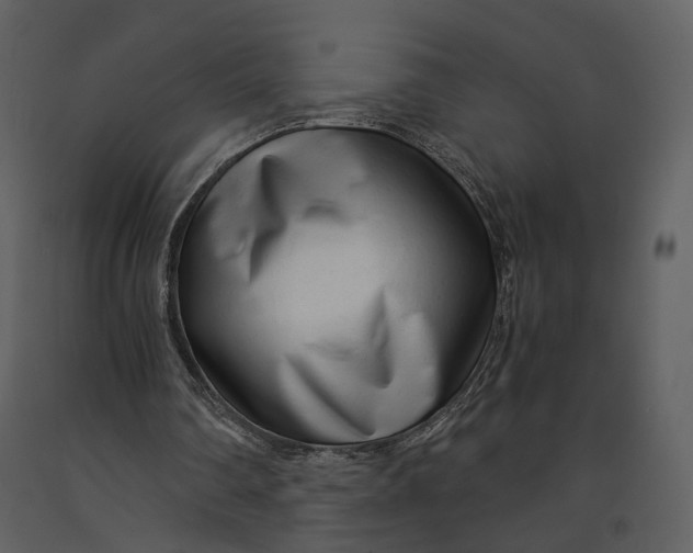 X0000090960290200708241159