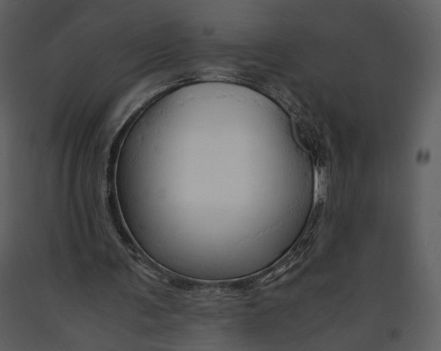 X0000090960291200708241159