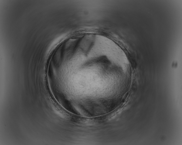 X0000090960293200708241159