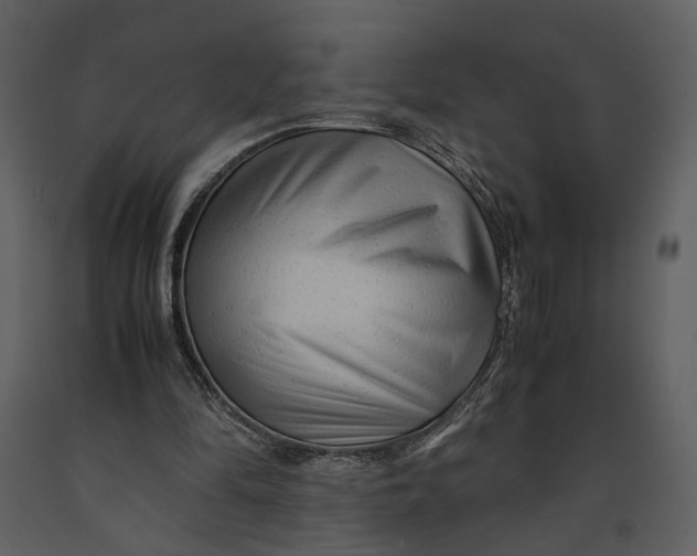 X0000090960294200708241159