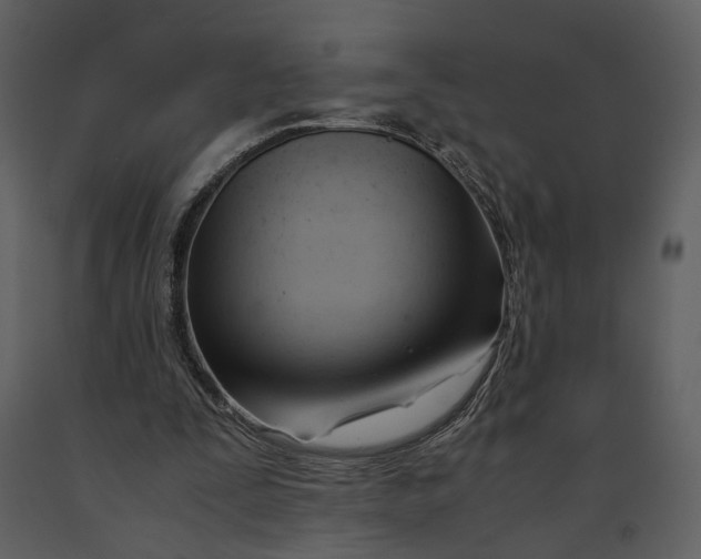 X0000090960295200708241159