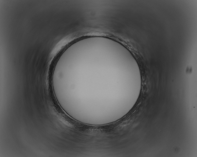 X0000090960296200708241159