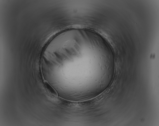 X0000090960297200708241159