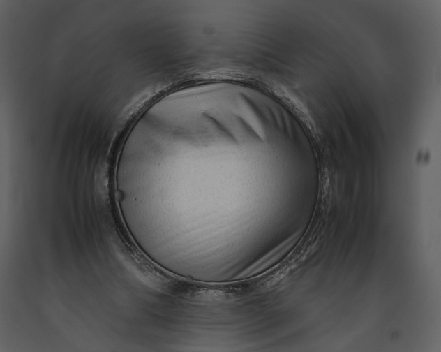 X0000090960298200708241159