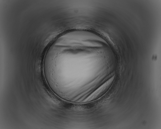 X0000090960299200708241159