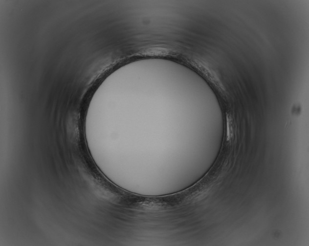 X0000090960300200708241159