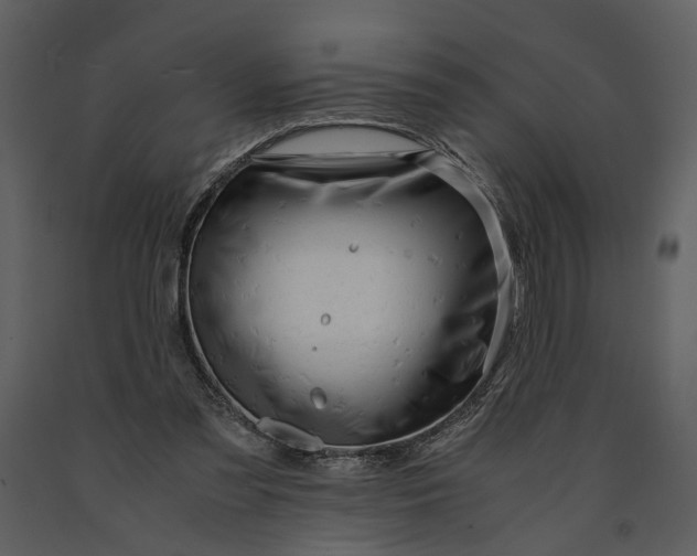 X0000090960301200708241159