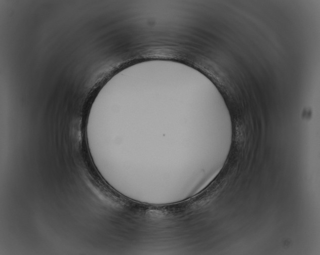 X0000090960302200708241159