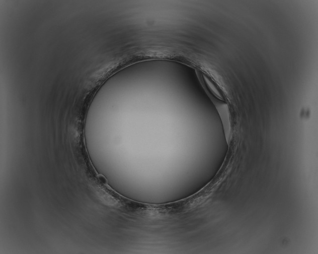 X0000090960305200708241159