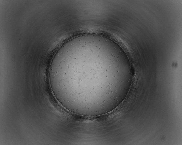 X0000090960306200708241159