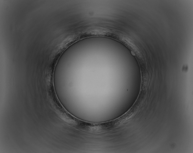 X0000090960309200708241159