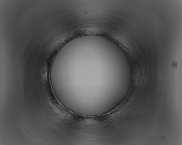 X0000090960310200708241159