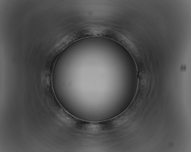 X0000090960313200708241159