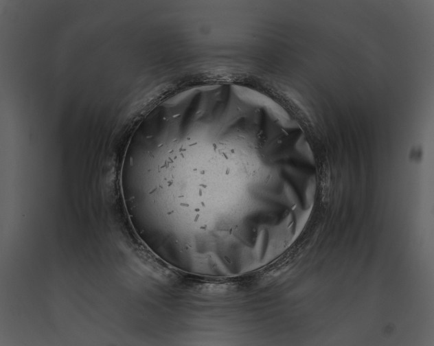 X0000090960314200708241159