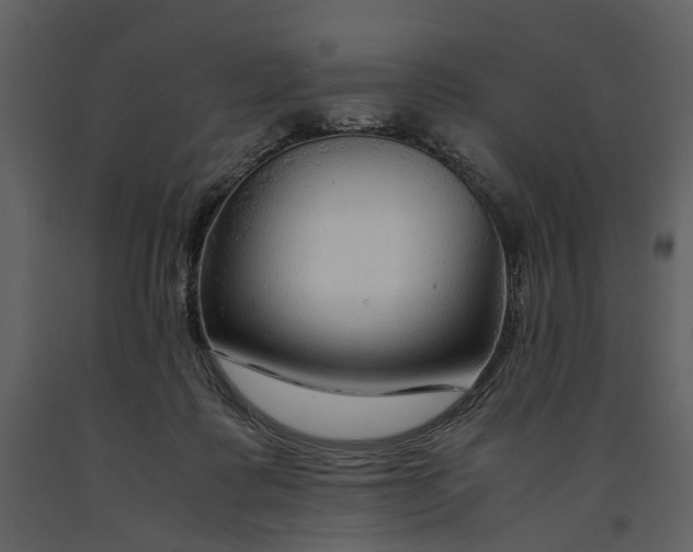 X0000090960315200708241159