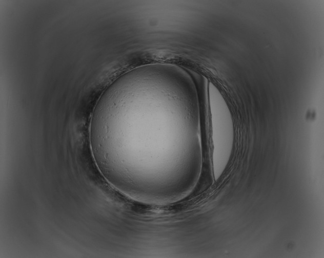 X0000090960319200708241158