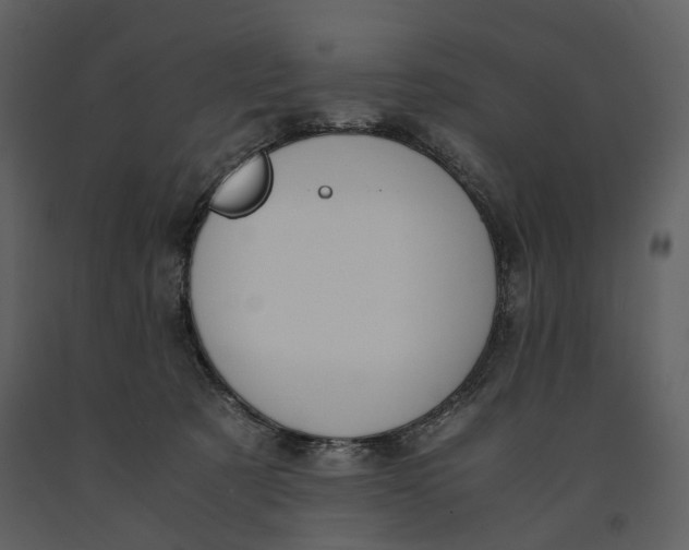 X0000090960321200708241158