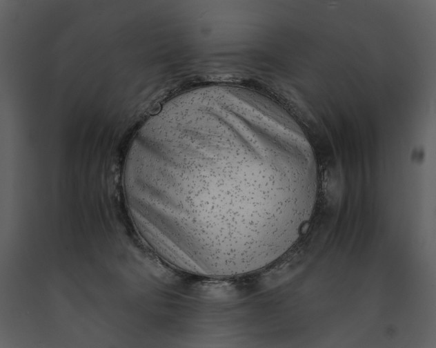 X0000090960322200708241158