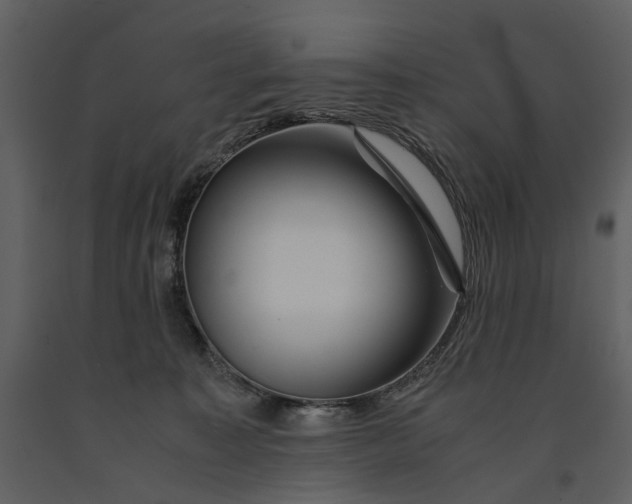 X0000090960323200708241158