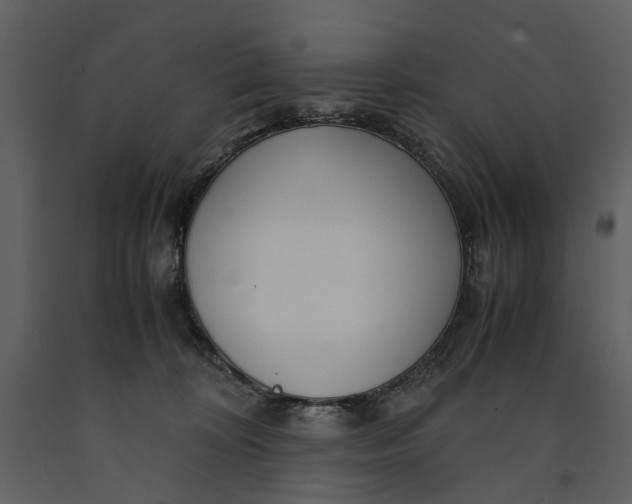 X0000090960324200708241158