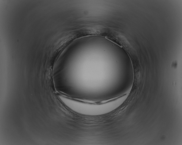 X0000090960325200708241158