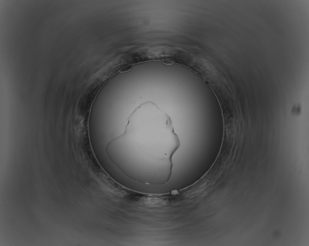 X0000090960327200708241158