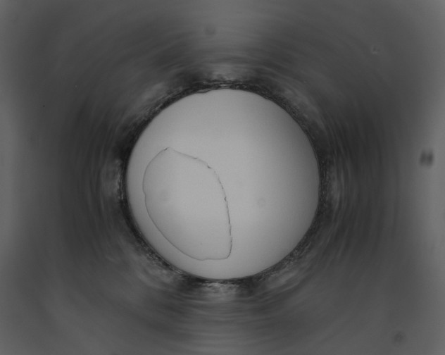 X0000090960328200708241158