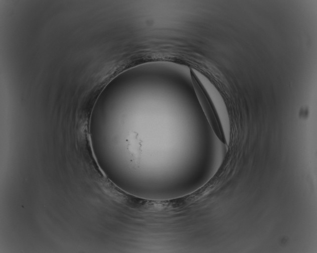 X0000090960329200708241158