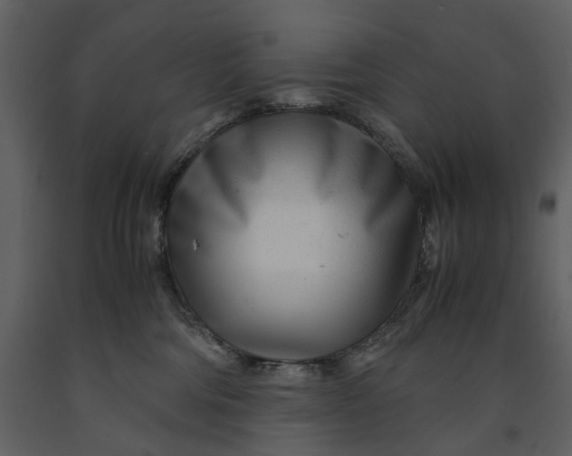 X0000090960330200708241158