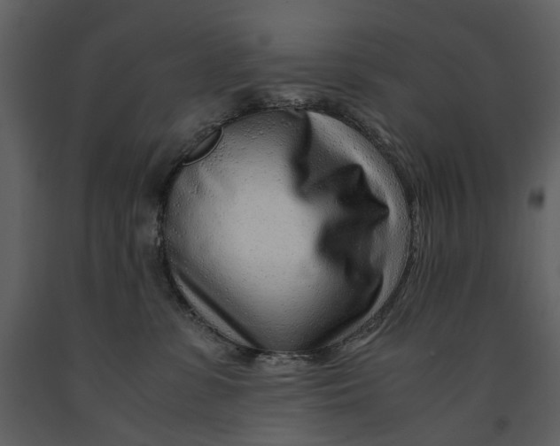 X0000090960331200708241158