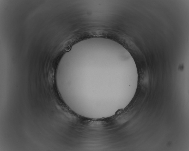 X0000090960332200708241158